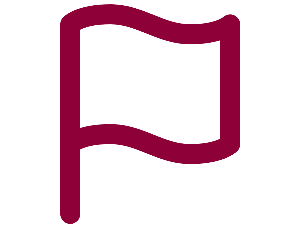 Flag icon